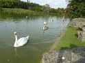 2014-10-02 16-24-07 Rando parc de la Courneuve CGn